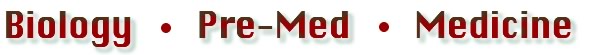 Medical Overview