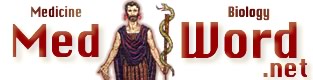 Etymology Dictionary Mythology Poetry Literature Overview illustration Vocubulary Lessons